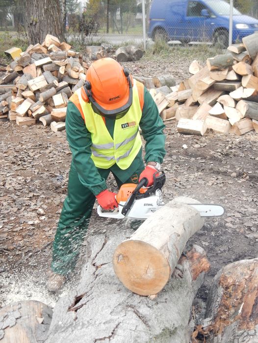 Kurs operator pilarek mechanicznych do ścinki drzew